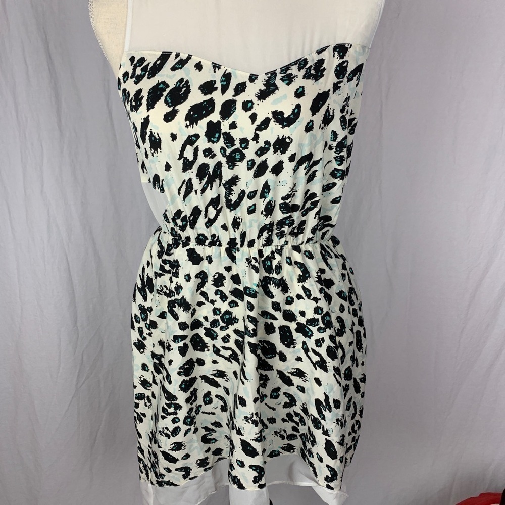 Walter baker dress